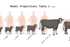 proportions_modelsheet_v5